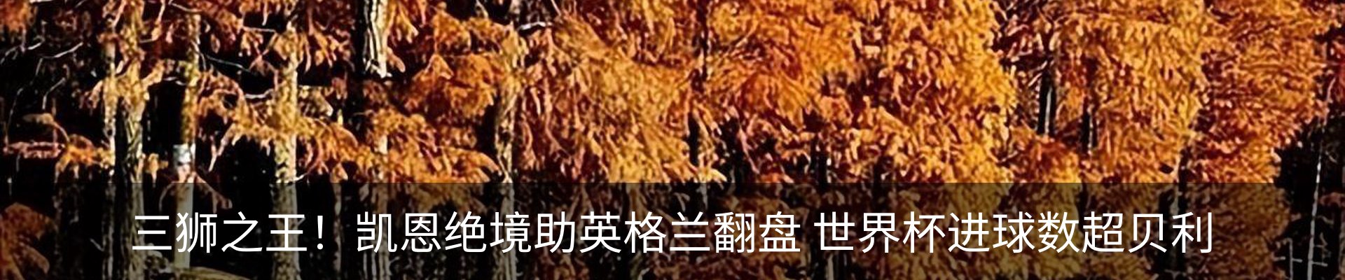 行业资讯