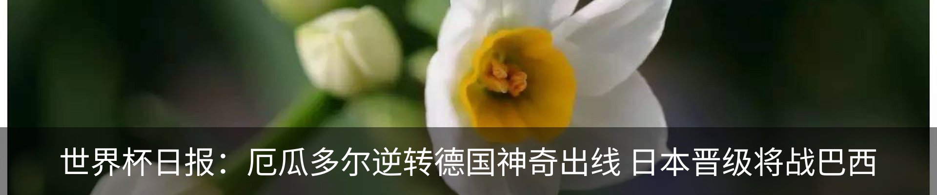 行业资讯