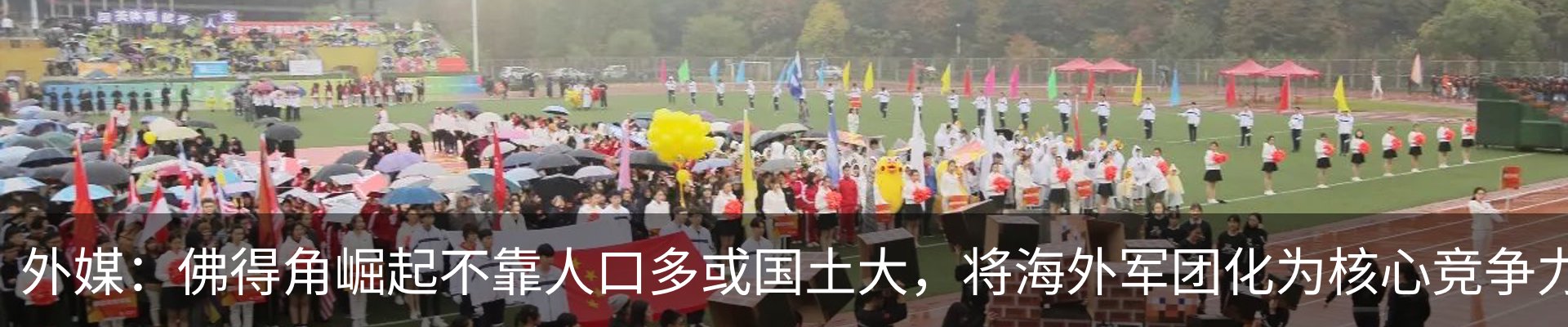 行业资讯