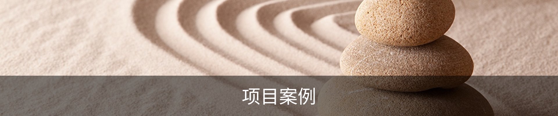 项目案例