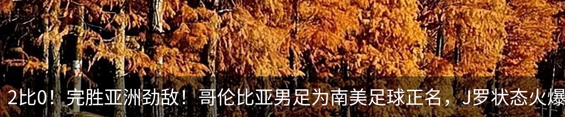 行业资讯